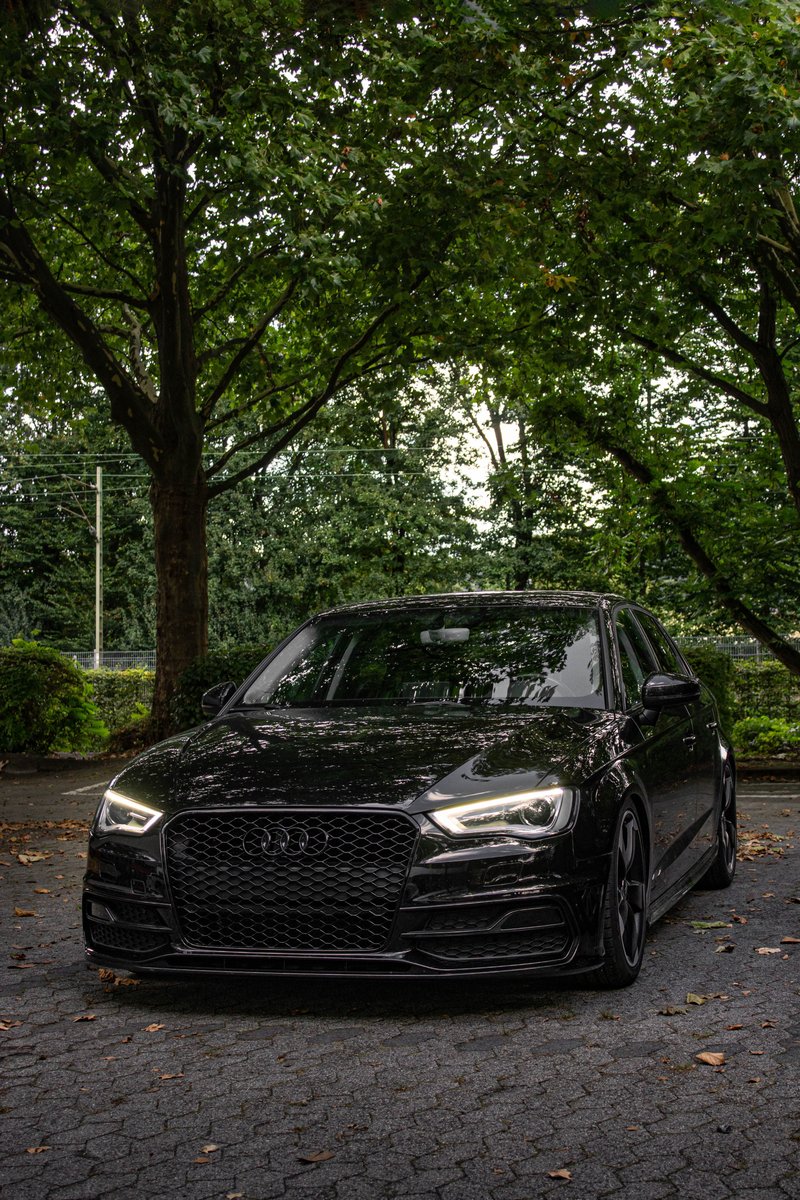 Audi A3 8V